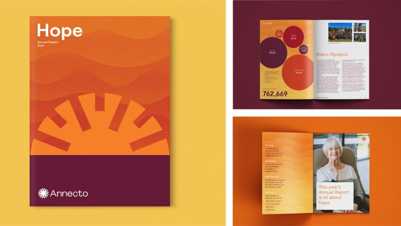 DM Collateral Annecto